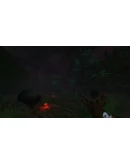 Coven * STEAM РОССИЯ АВТОДОСТАВКА 0 КАРТЫ