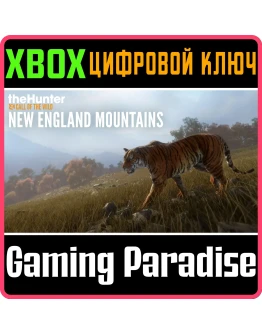 THEHUNTER: CALL OF THE WILD - SUNDARPATAN NEPALXBOX
