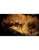 Empire of the Ants Xbox Series XS