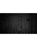 White Shadows Xbox Series XS активация