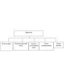 Отчет по преддипломной практике по менеджменту в органи