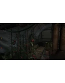 Obenseuer АВТОДОСТАВКА STEAM РОССИЯ