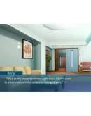 Platonically Mauled by a Magic Cougar КЛЮЧ STEAM Platonically Mauled by a Magic Cougar КЛЮЧ STEAM