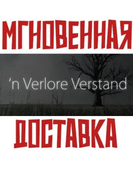 'n Verlore Verstand SteamРФ+Весь МирKey+ Карточки