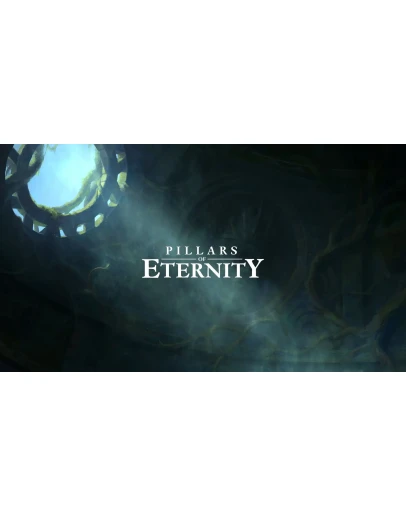 Pillars of Eternity аккаунт Epic Games