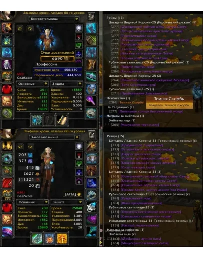 Аккаунт 2328 х100 Паладин Эльф крови(ж) Орда