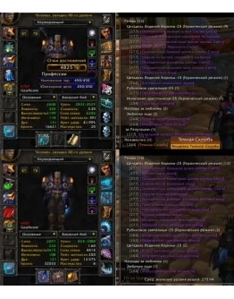 Аккаунт 2334 х100 Паладин Человек(м) Альянс