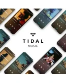 TIDAL HiFi PLUS FAMILY 1 МЕСЯЦЧАСТНЫЙ АККАУНТ