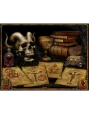 The Cabinets of Doctor Arcana (Steam Gift Россия)