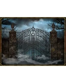 The Cabinets of Doctor Arcana (Steam Gift Россия)