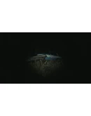 HELLSEED - STEAM GIFT РОССИЯ