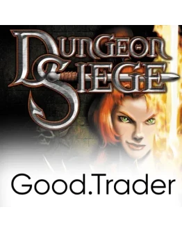 Dungeon Siege - Offline Steam аккаунт