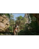 IfSunSets АВТОДОСТАВКА STEAM РОССИЯ