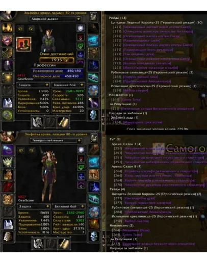 Аккаунт 2335 х100 Паладин Эльф крови(ж) Орда