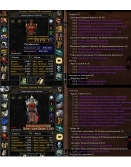 Аккаунт 2336 х100 Паладин Человек(ж) Альянс