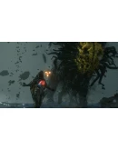 DEATH STRANDING DIRECTOR'S CUT XBOX XS/WIN10КЛЮЧ