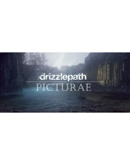 Drizzlepath: Picturae АВТОДОСТАВКА STEAM РОССИЯ Drizzlepath: Picturae АВТОДОСТАВКА STEAM РОССИЯ