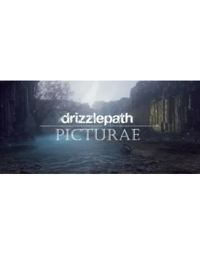 Drizzlepath: Picturae АВТОДОСТАВКА STEAM РОССИЯ