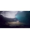 Drizzlepath: Picturae АВТОДОСТАВКА STEAM РОССИЯ