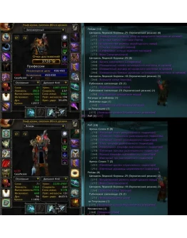 Аккаунт 2341 х100 Охотник Эльф крови(м) Орда