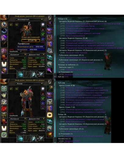 Аккаунт 2341 х100 Охотник Эльф крови(м) Орда