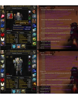 Аккаунт 2344 х5 Паладин Эльф крови(м) Орда