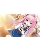 Select Oblige АВТОДОСТАВКА STEAM РОССИЯ