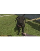 Pets Hotel XBOXПокупка на Ваш аккаунт