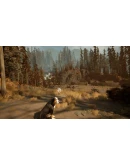 Two Falls (Nishu Takuatshina) STEAM GIFT РОССИЯ