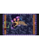 D.U.M.B. Ducks XBOXПокупка на Ваш аккаунт