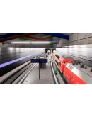 (DLC) Train Sim World 2: DB BR 182 Loco Add-On КЛЮЧ