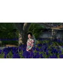 Sengoku Dynasty (Steam Gift Россия)