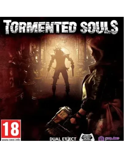 TORMENTED SOULS STEAM КЛЮЧ