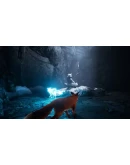 Spirit of the North SteamРФ+Весь МирKey + Бонус