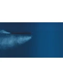 Sea Power : Naval Combat in the Missile Age