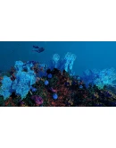 Ecosystem - STEAM GIFT РОССИЯ