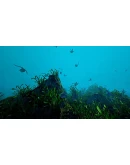 Ecosystem - STEAM GIFT РОССИЯ