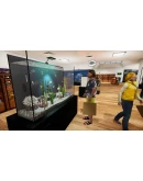 Aquarist - Aquatic Supermarket DLC DLC STEAM РОССИЯ