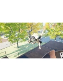 BMX Bastards АВТОДОСТАВКА STEAM РОССИЯ