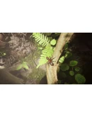 Empire of the Ants Xbox Series XS активация