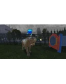 Pets Hotel Xbox Series XS активация