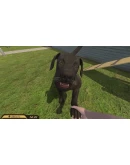 Pets Hotel Xbox Series XS активация