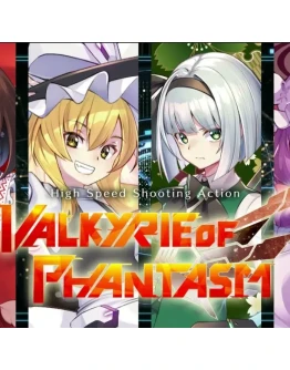 VALKYRIE OF PHANTASMSTEAM АККАУНТ