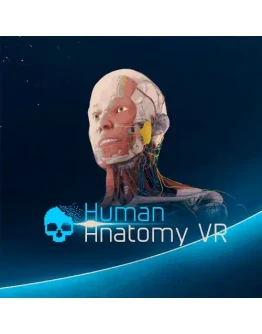 Human Anatomy VR/Анатомия Человека PS Турция