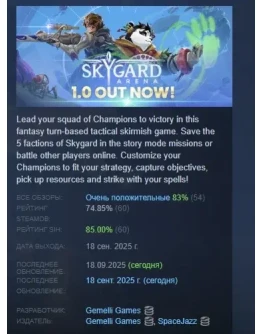 Skygard Arena АВТОДОСТАВКА STEAM РОССИЯ