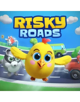 Risky Roads PS4 &amp PS5