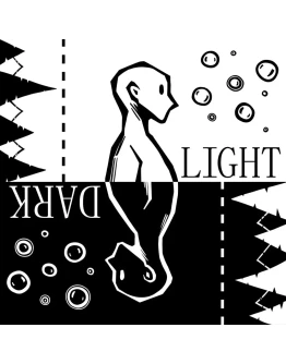 LIGHT DARK PS4 &amp PS5