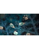 Jellies of the Deep АВТОДОСТАВКА STEAM РОССИЯ