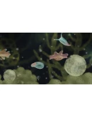 Jellies of the Deep АВТОДОСТАВКА STEAM РОССИЯ