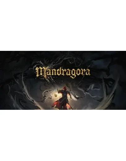 Mandragora steam